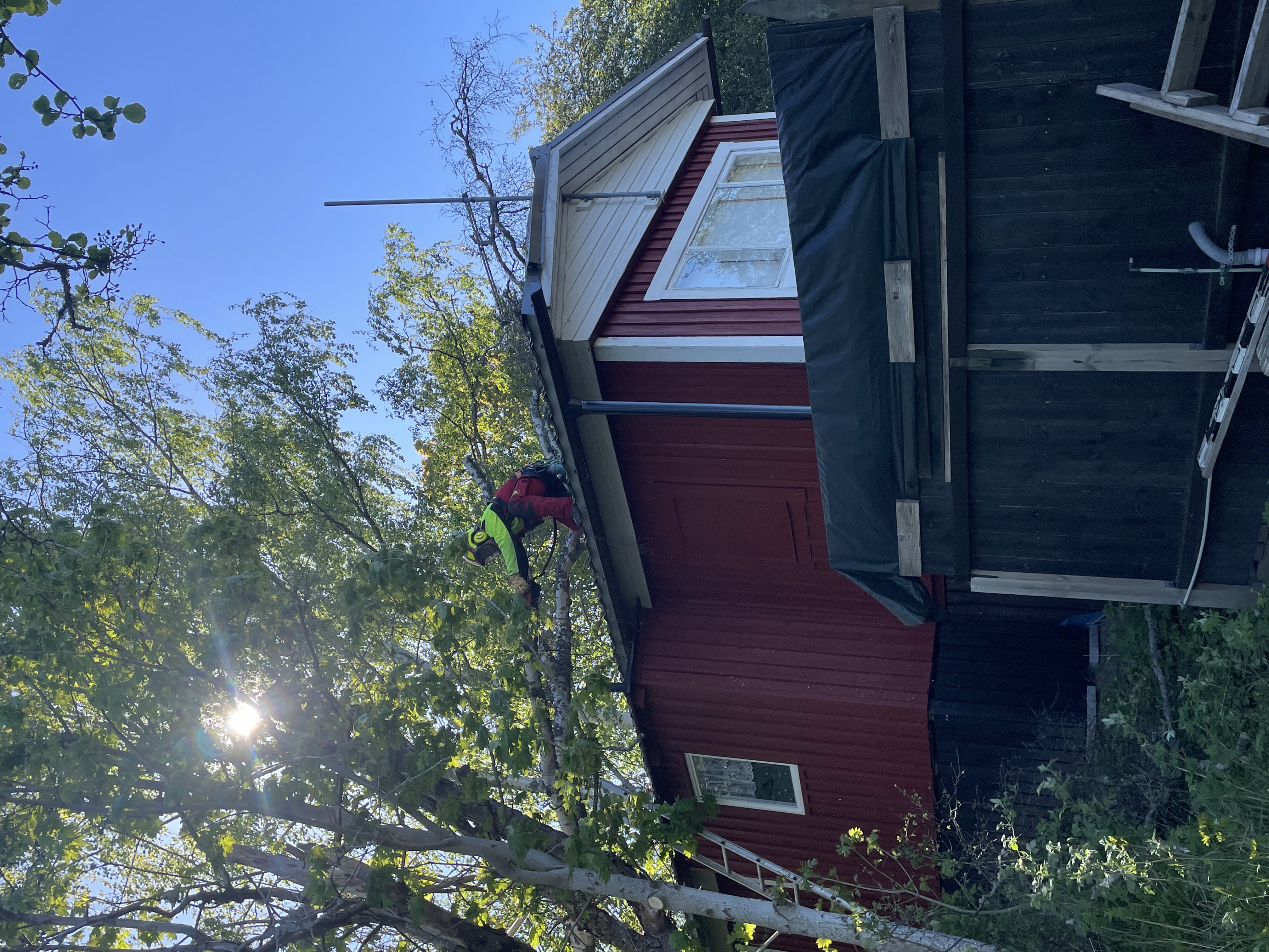 Stormröjning